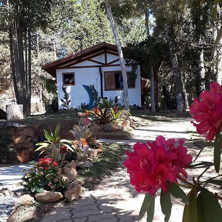 Chales Anecuem Monte Verde  Exteriér fotografie