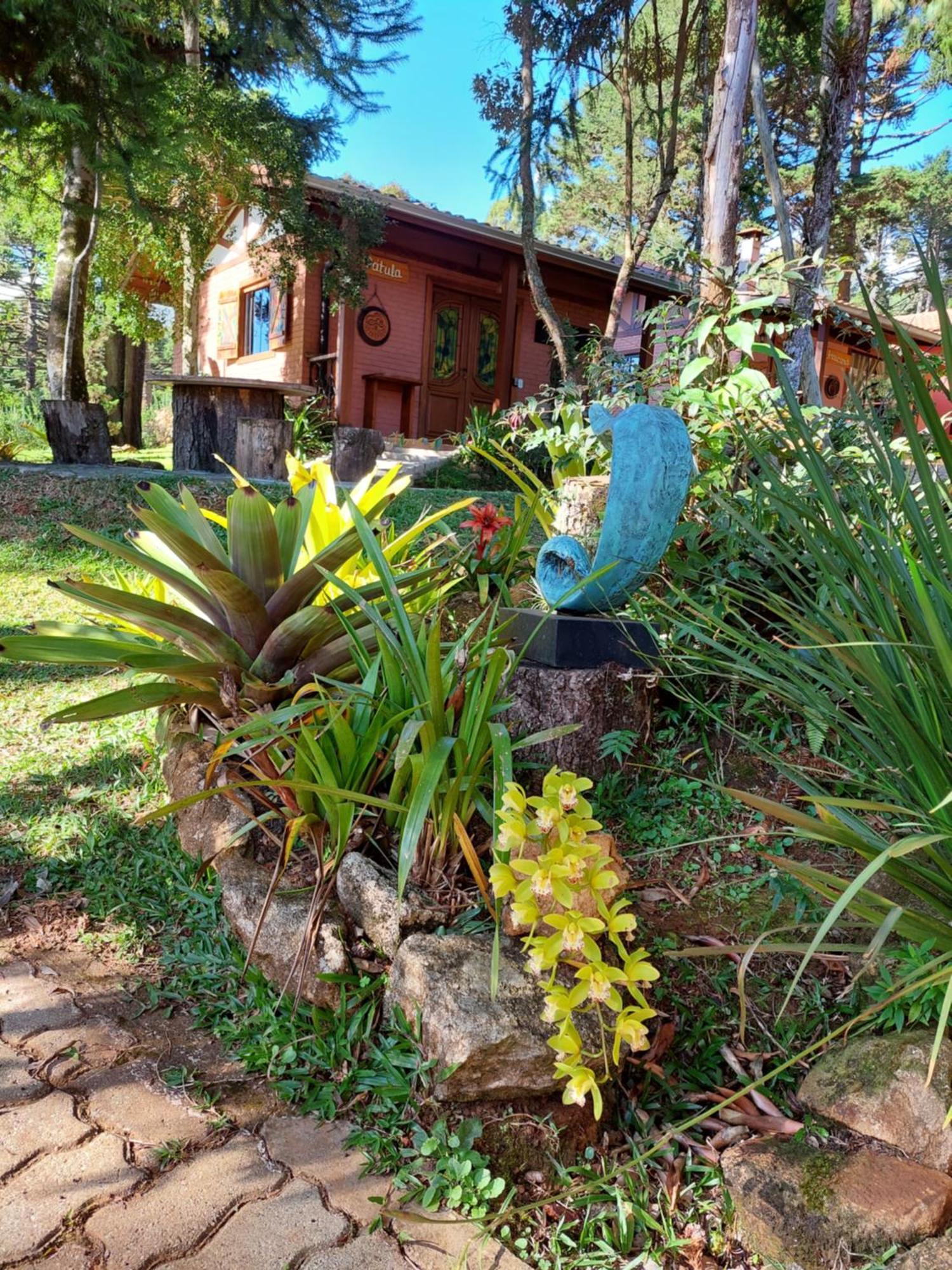 Chales Anecuem Monte Verde  Exteriér fotografie