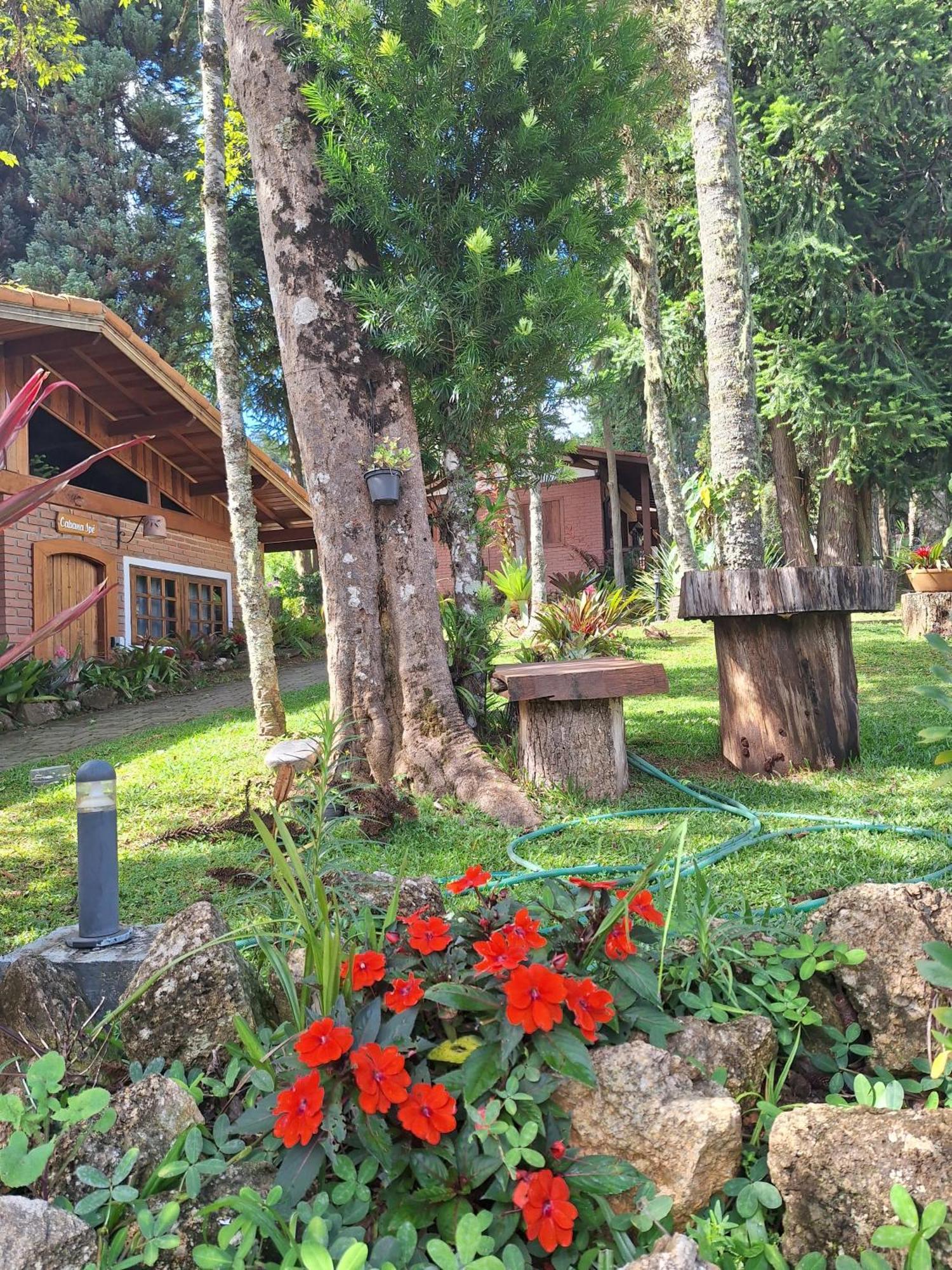 Chales Anecuem Monte Verde  Exteriér fotografie